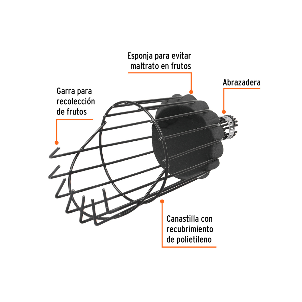Recolector de fruta sin mango